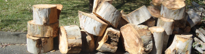 Land Clearing North Shore Sydney