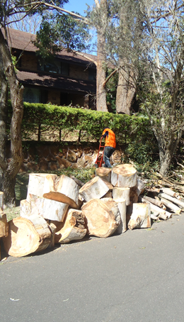 Land Clearing Sydney