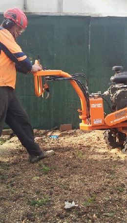 Stump Grinding Sydney